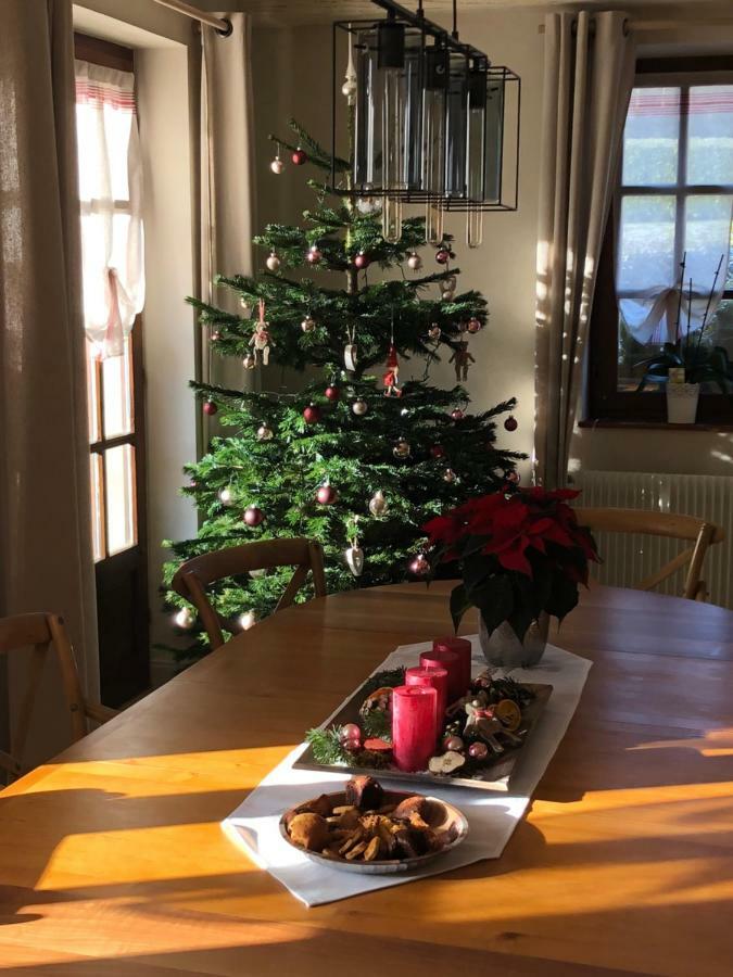 Les Chez Christine 4* Ottrott